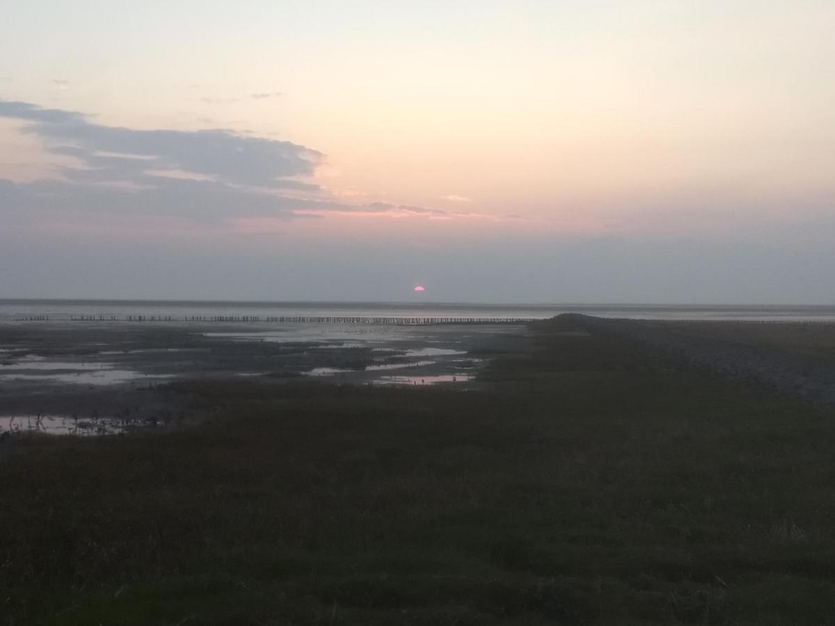 Strandrose Friedrichskoog Εξωτερικό φωτογραφία
